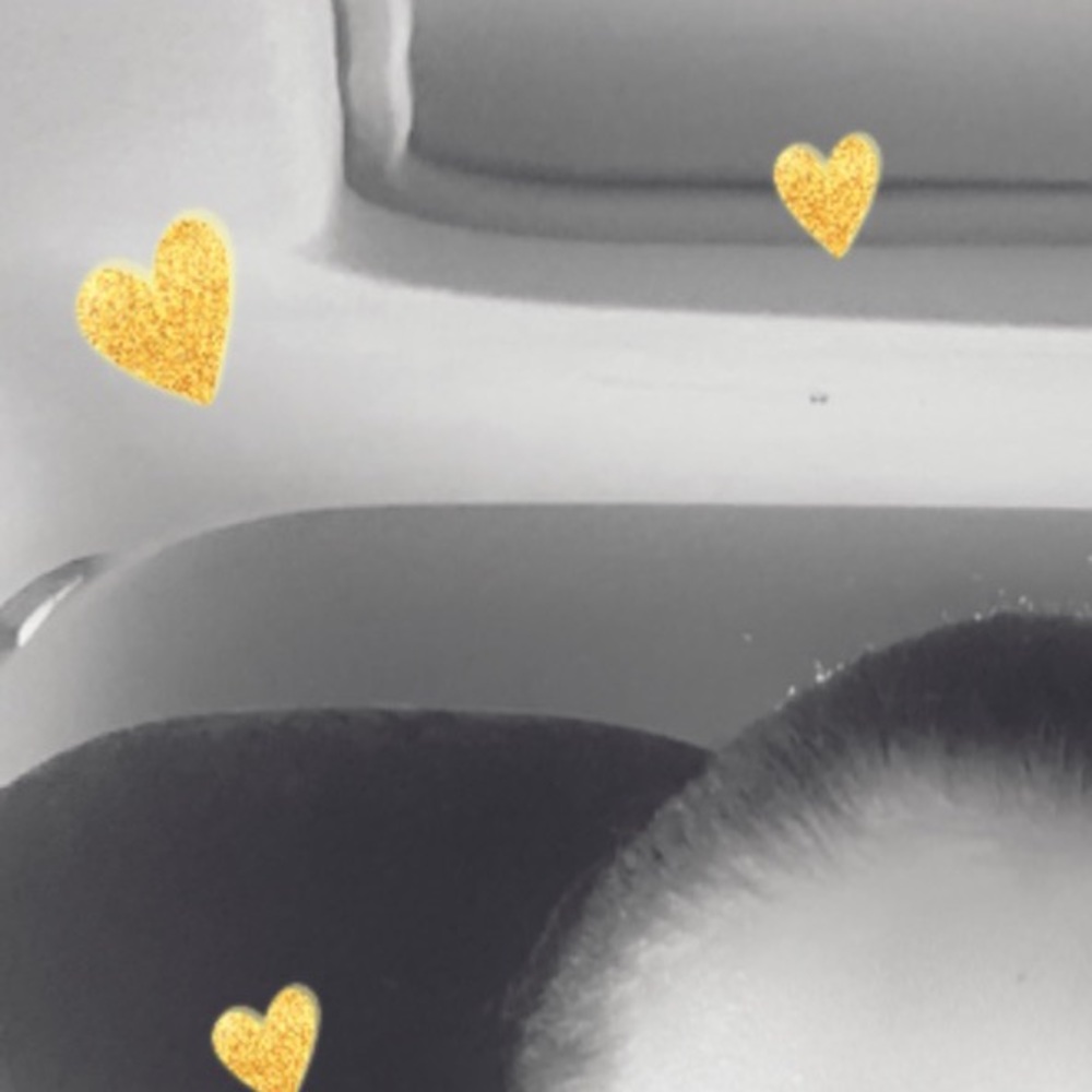 Meet your Posher, Mayra